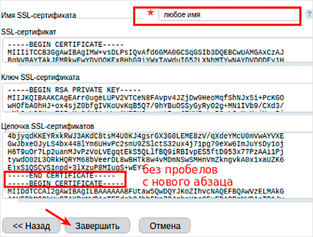 Ssl key. SSL сертификат. ССЛ сертификат. Как выглядит SSL сертификат. Бесплатный сертификат ССЛ.