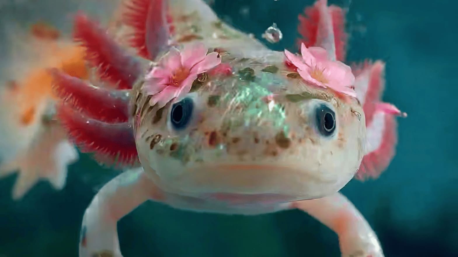 Luma Labs Unveils Ray 3: A Leap Forward in AI Video Generation, But Not  Without Flaws